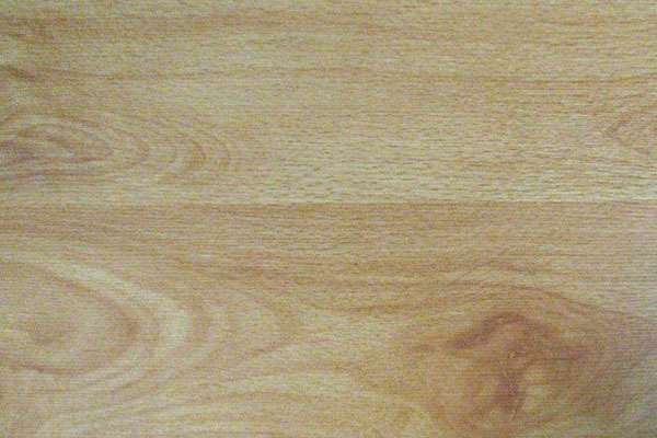 Laminate Flooring Steinhaus